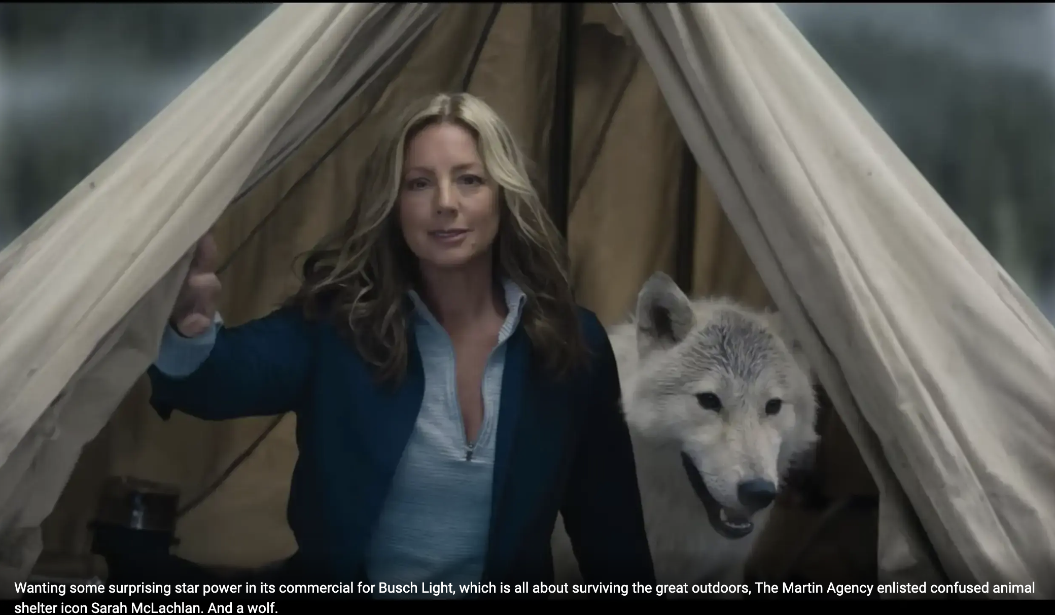Screenshot of the Busch Super Bowl 2023 commercial with Sarah McLachlan and a wolf